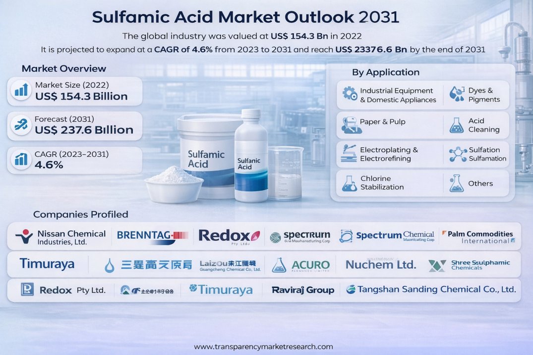 Sulfamic Acid Market to Reach US$ 237.6 Billion by 2031, Driven by Rising Demand from Pigments, Dyes, and Paper & Pulp Industries | Latest Report TMR